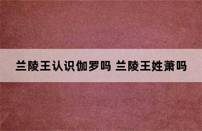 兰陵王认识伽罗吗 兰陵王姓萧吗